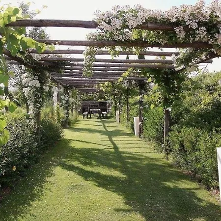 Apartmán Papavero Arezzo